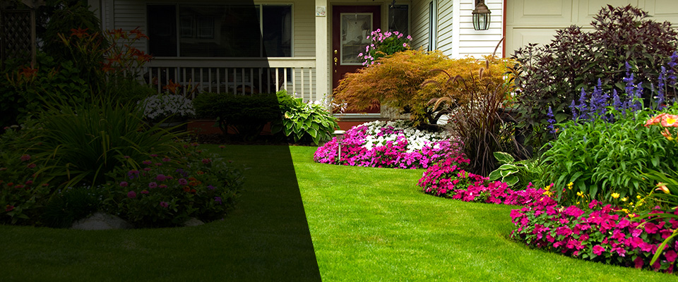 Globe Landscapers